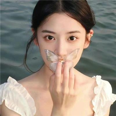 失落的边界封面