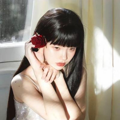 顽皮豹之子海报